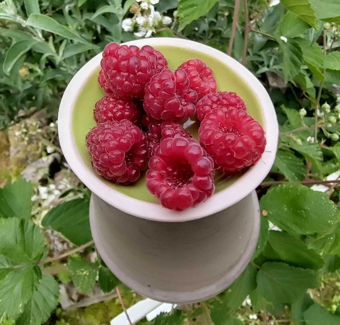 https://blossom.yakihonne.com/072747730c36c002a4634408751b518147e40df8cbaf00445e962ba3c5026a44.jpeg